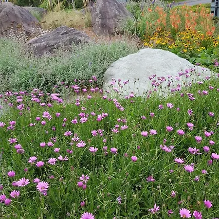 Edith Grove House Feriehus *