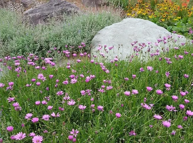 Edith Grove House Feriehus *